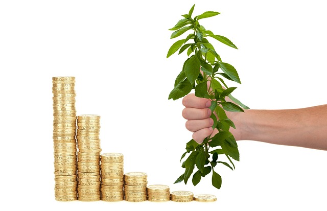 Como Avaliar Riscos ao Investir: Um Guia Prático